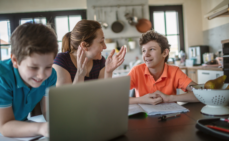 En este momento estás viendo Hacer homeschooling reduce el estrés social en niños con altas capacidades